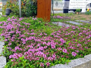 お庭や駐車場の水まわりをきれいに 加古川市 高砂市 明石市 神戸市西区 エクステリア 外構 ガーデニング スマイルガーデンディーズ