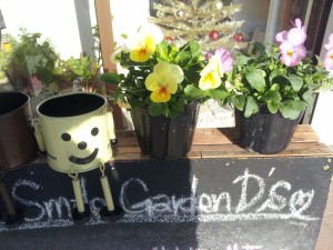 　Smile　Garden　D's　　♪かわいい展示が多数ありますよ♪