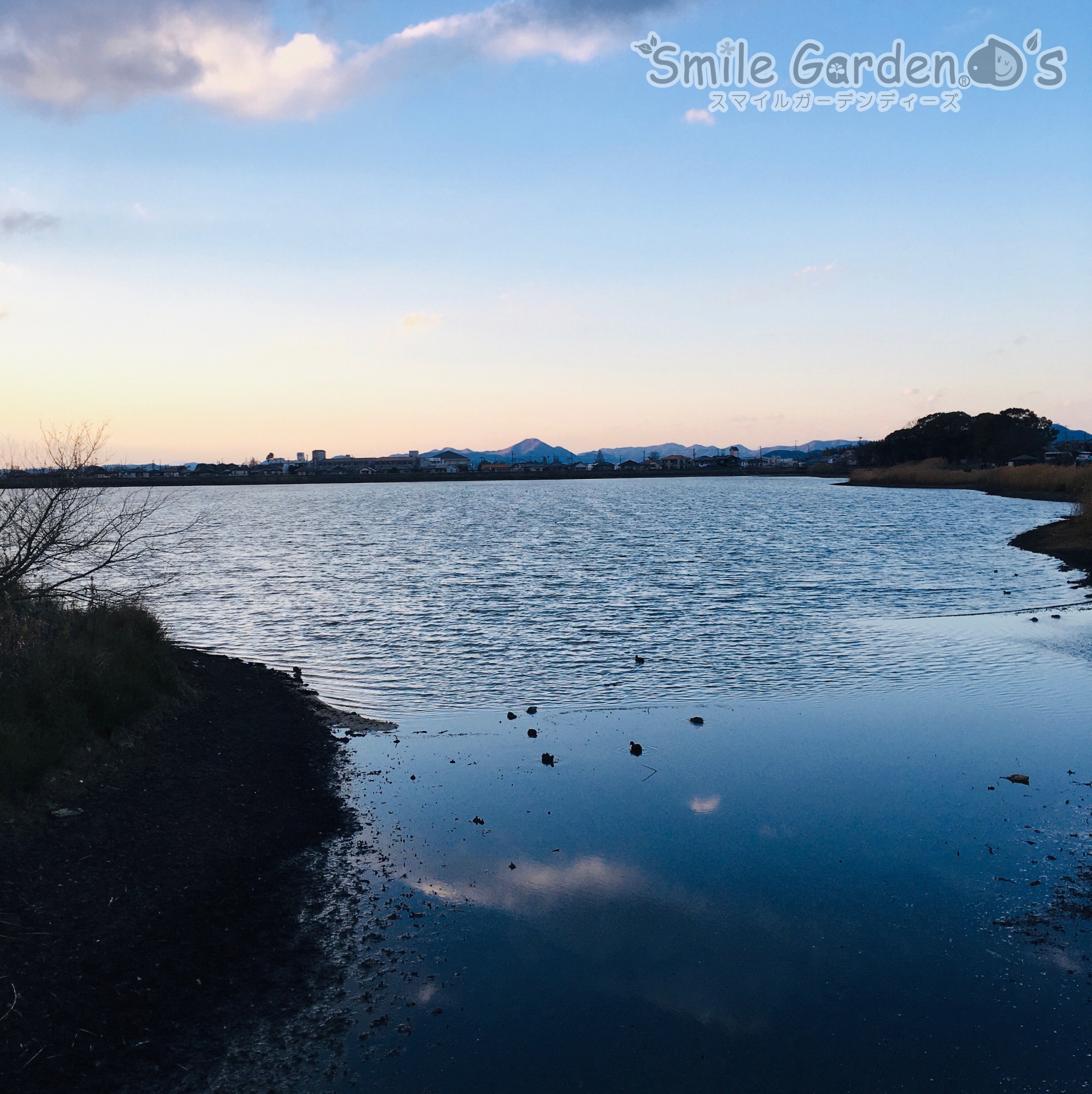 兵庫県の良いところ探し～寺田池～