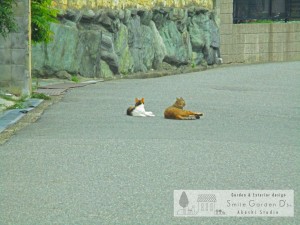 明石市の皆様！ガーデンルームがあると気持ちいい季節到来です 