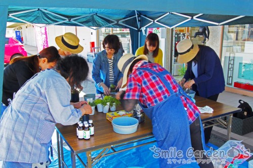 スマイルガーデン 多肉植物 明石市