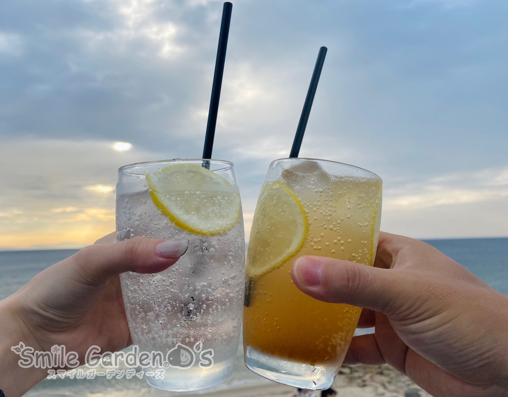 ビーチ 稲美町 庭