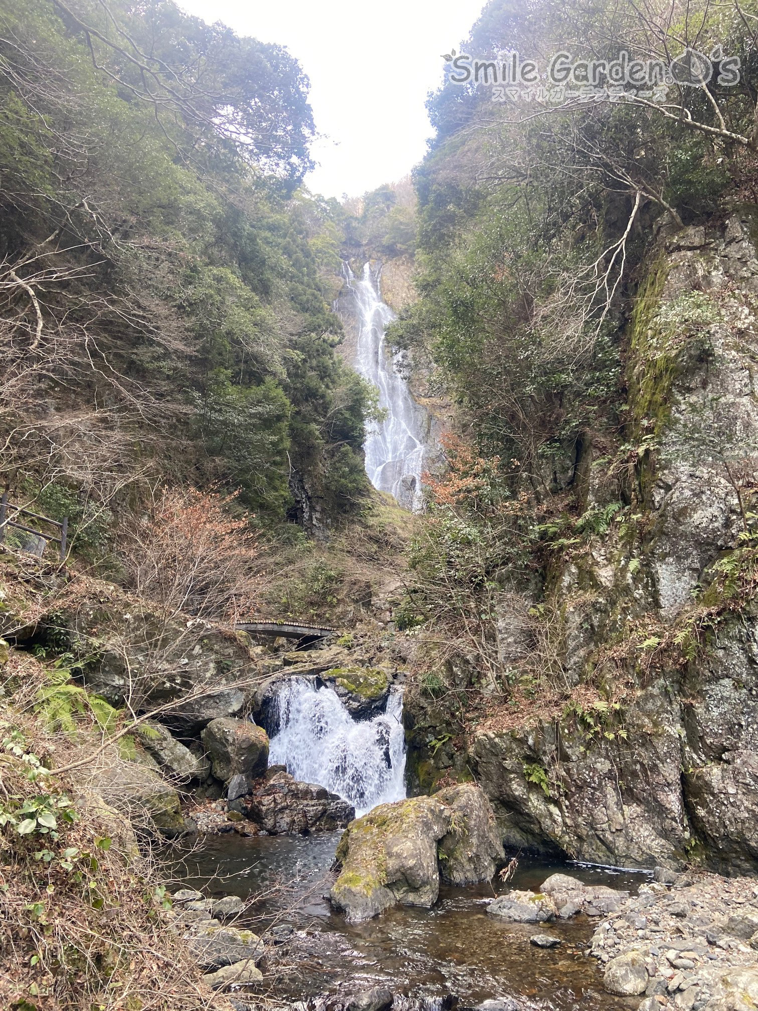 森林浴してきました！