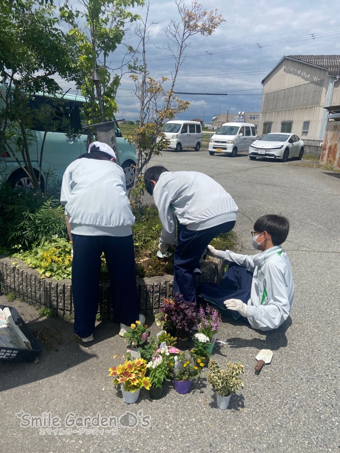 トライやる　兵庫　ガーデニング