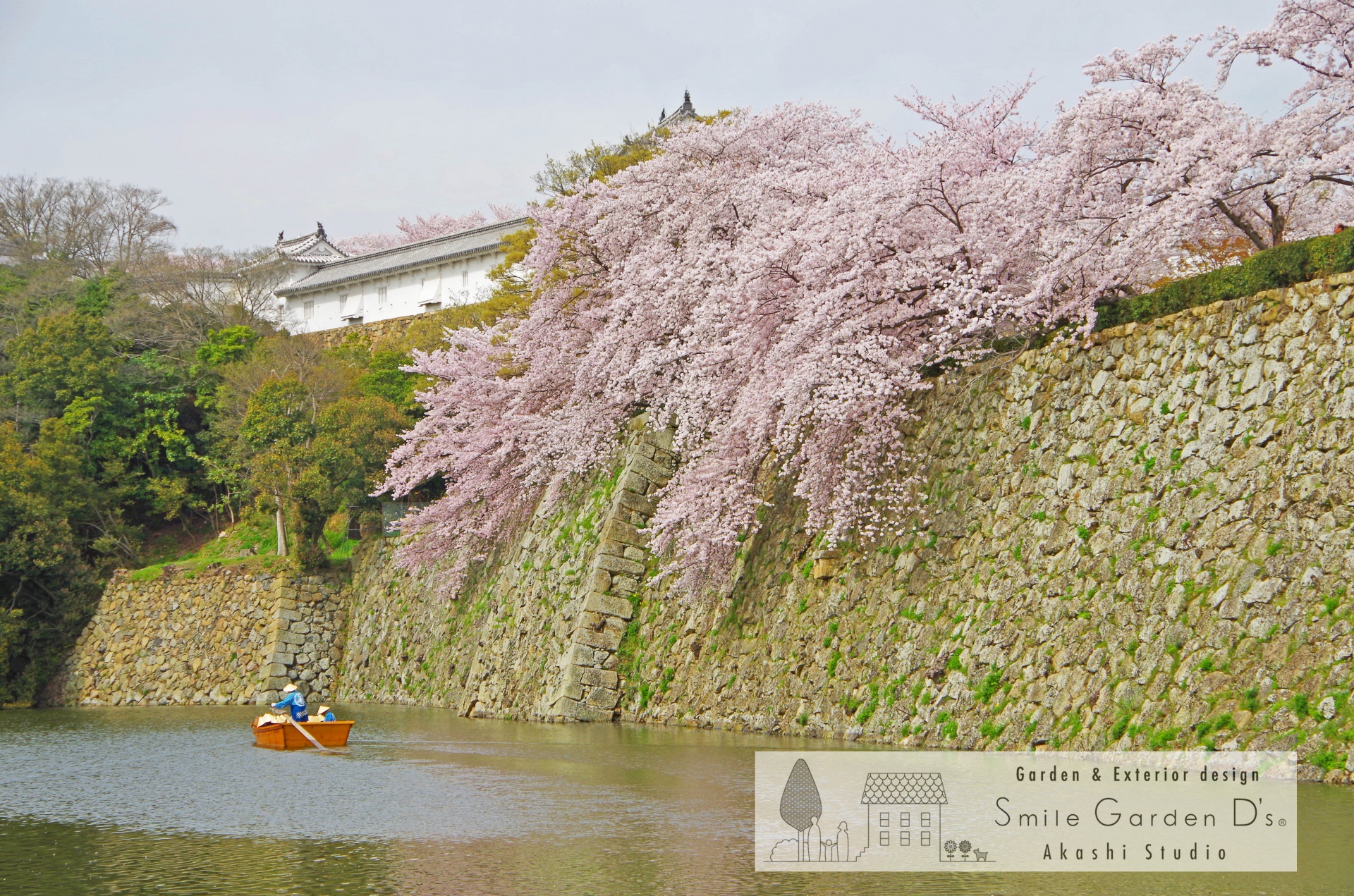 桜 スマイルガーデン明石 外構工事 庭相談 庭リフォーム