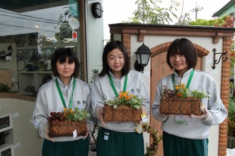 秋のお庭大相談会　明石スタジオでも開催しますよ～ヽ(´∀`｡)ﾉ