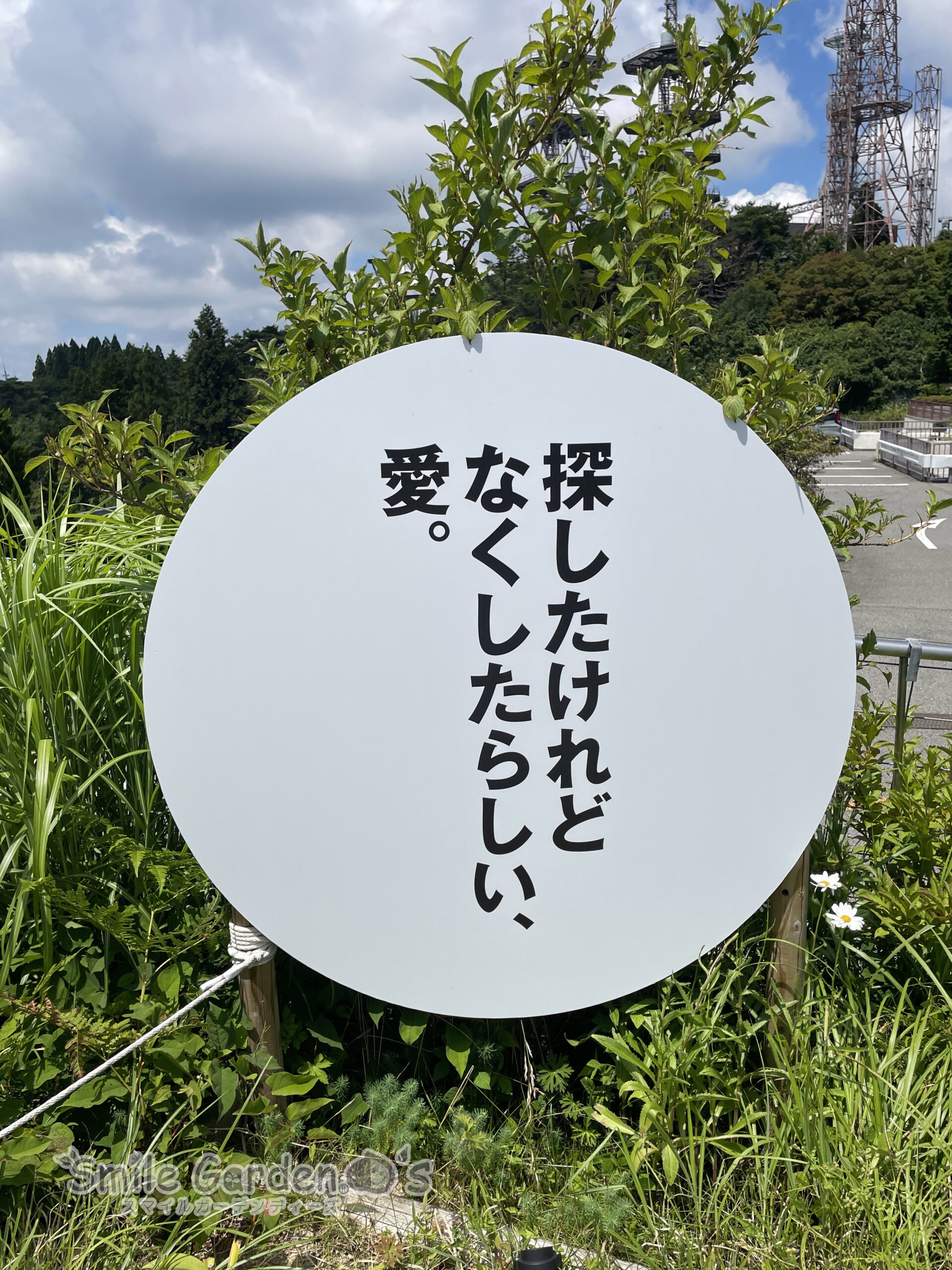 六甲枝垂れ