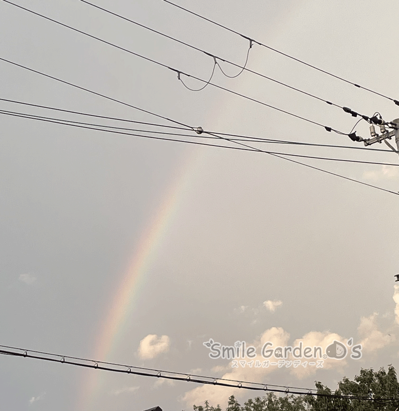虹　雨上がり　夕立　エクステリア
