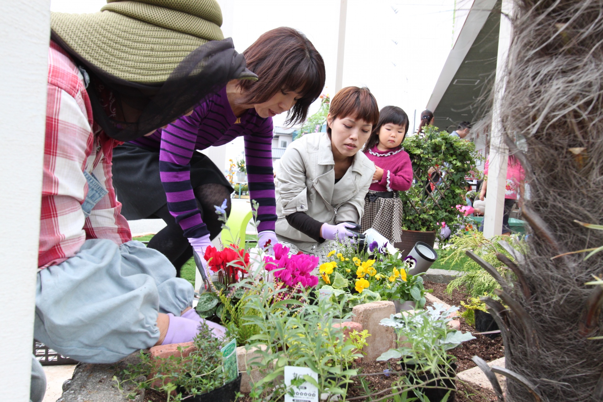 寄せ植え体験