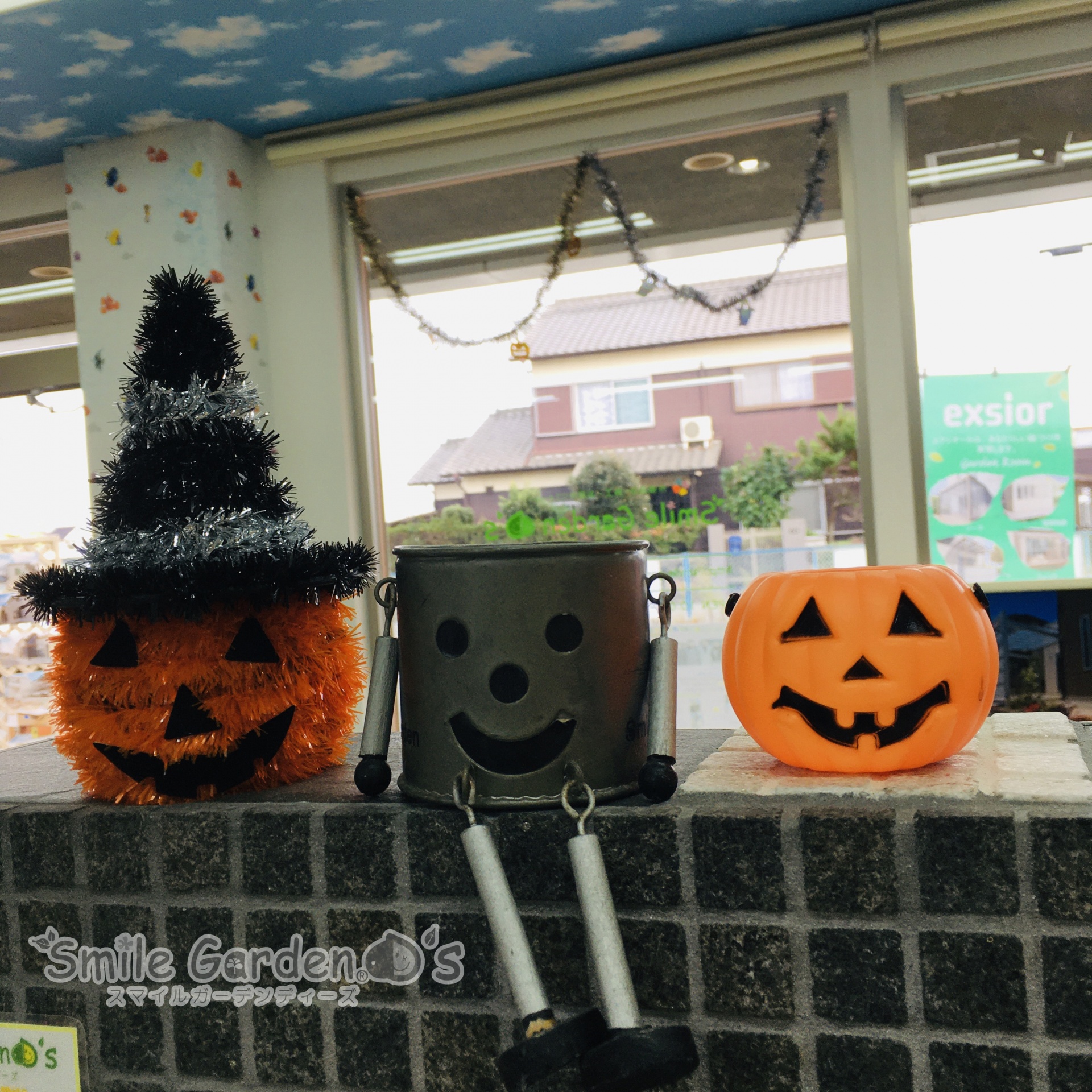 いよいよ！ＨＡＬＬＯＷＥＥＮですね