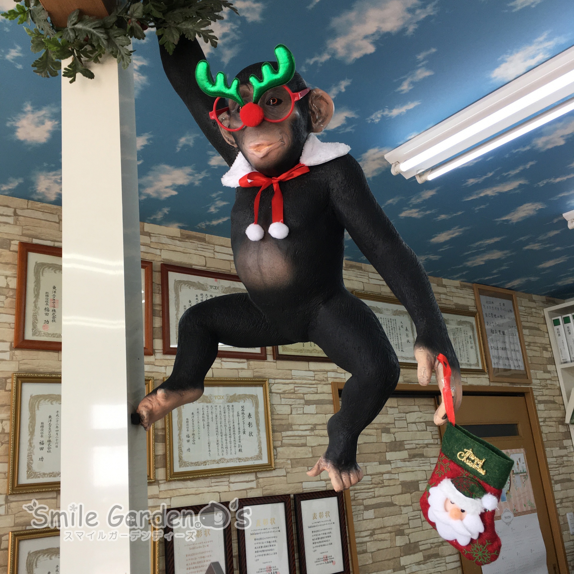 クリスマス飾り　稲美　カーポート