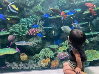 水族館　神戸　機能門柱