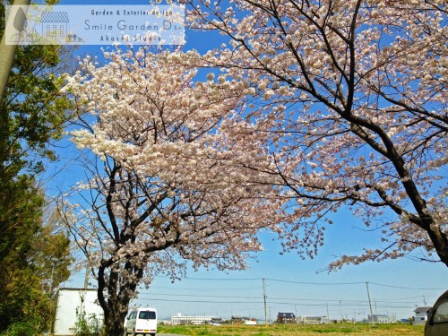 お庭に出やすいって気持ちいい♪