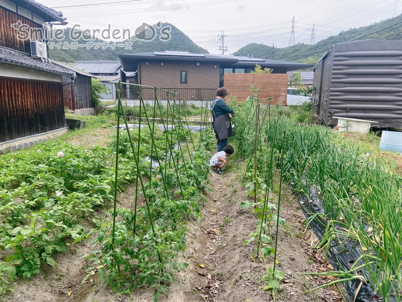 家庭菜園 庭 姫路