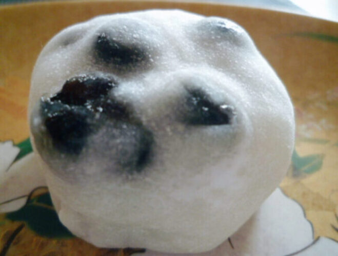 年末のご挨拶～2024年もありがとうございました～