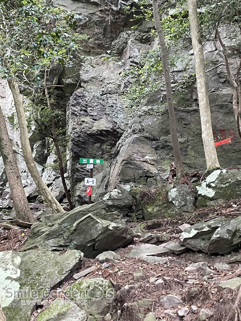 岩　ロックガーデン　