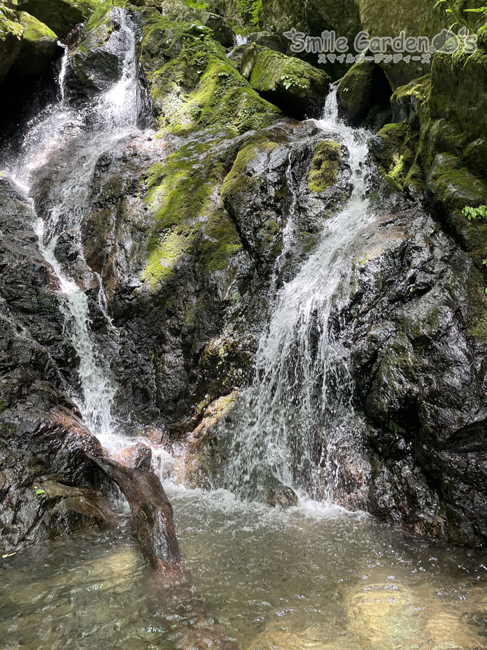 沢沿い　沢歩き　滝　川　清流　